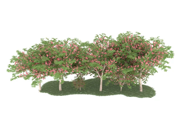 Realistic forest isolated on white background. 3d rendering - illustration