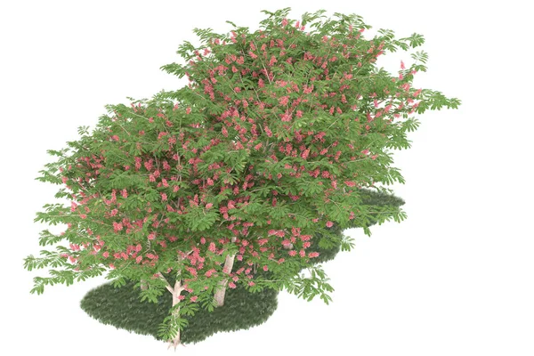 Realistic forest isolated on white background. 3d rendering - illustration