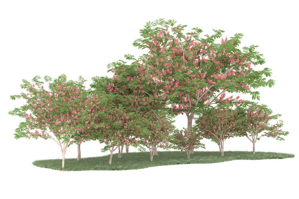 Realistic forest isolated on white background. 3d rendering - illustration