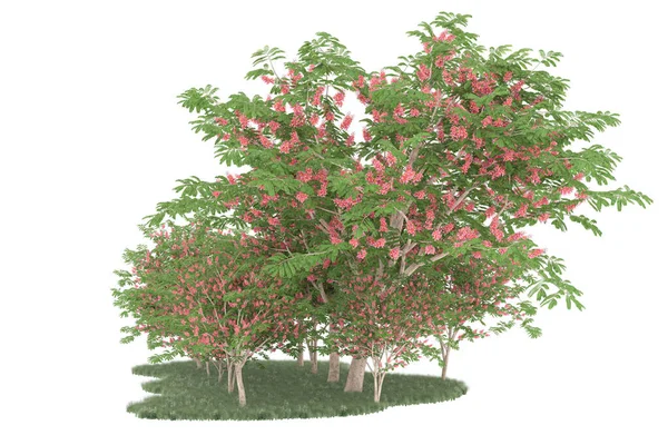 Realistic forest isolated on white background. 3d rendering - illustration