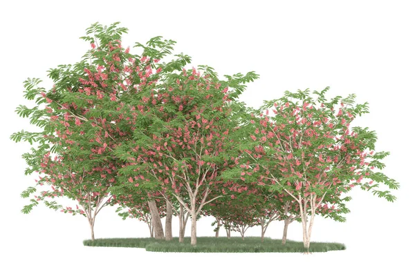 Realistic forest isolated on white background. 3d rendering - illustration