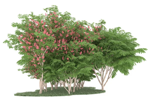 Realistic forest isolated on white background. 3d rendering - illustration