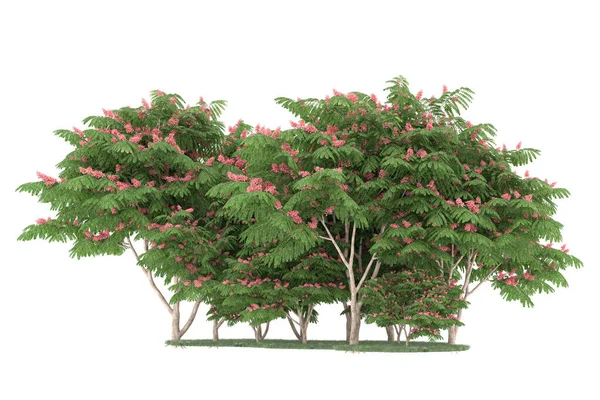 Realistic forest isolated on white background. 3d rendering - illustration