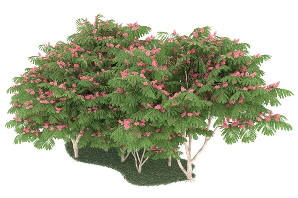 Realistic forest isolated on white background. 3d rendering - illustration