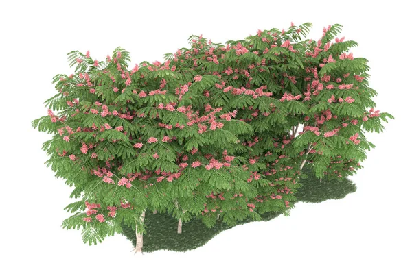 Realistic forest isolated on white background. 3d rendering - illustration