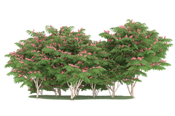 Realistic forest isolated on white background. 3d rendering - illustration