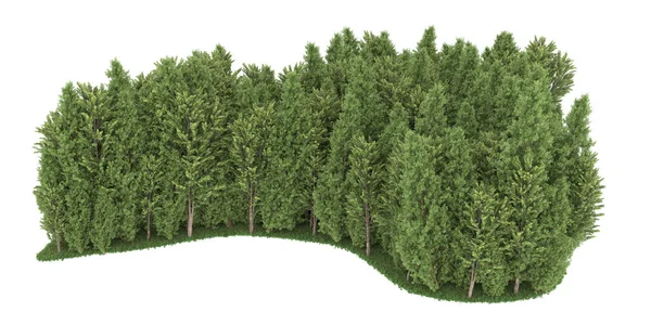 Realistic forest isolated on white background. 3d rendering - illustration