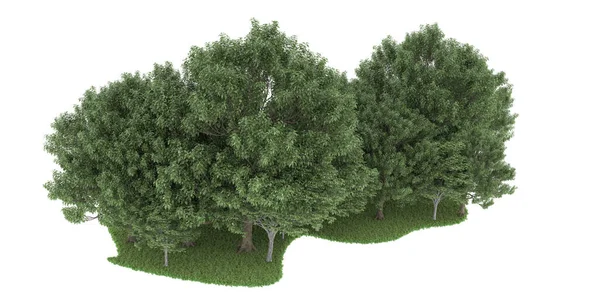 Realistic forest isolated on white background. 3d rendering - illustration