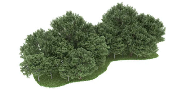 Realistic forest isolated on white background. 3d rendering - illustration