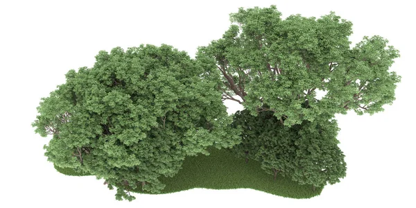 Realistic forest isolated on white background. 3d rendering - illustration