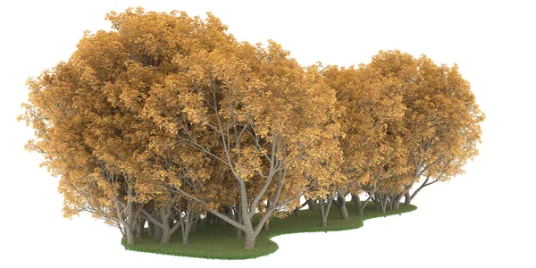 Realistic forest isolated on white background. 3d rendering - illustration