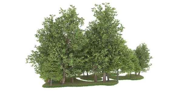Realistic forest isolated on white background. 3d rendering - illustration