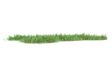 Field of grass isolated on white background. 3d rendering - illustration
