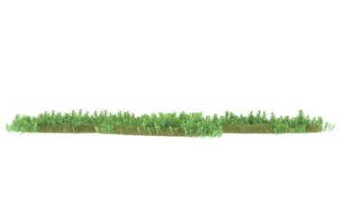 Field of grass isolated on white background. 3d rendering - illustration