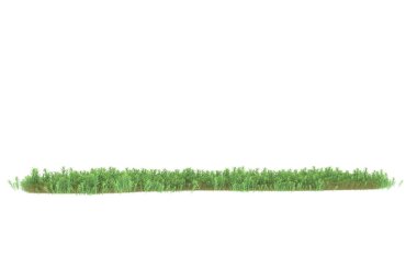 Field of grass isolated on white background. 3d rendering - illustration