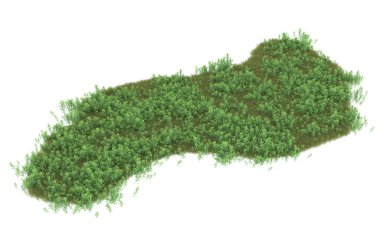 Field of grass isolated on white background. 3d rendering - illustration