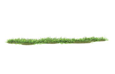 Field of grass isolated on white background. 3d rendering - illustration