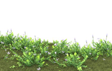 Field of grass isolated on white background. 3d rendering - illustration