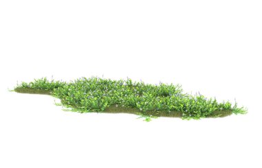 Field of grass isolated on white background. 3d rendering - illustration