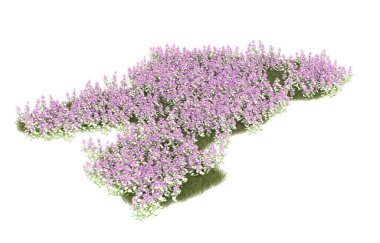 Field of grass isolated on white background. 3d rendering - illustration