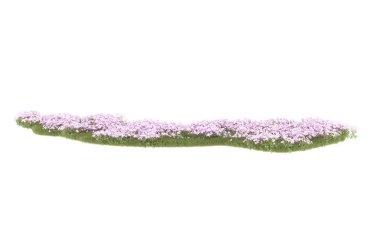Field of grass isolated on white background. 3d rendering - illustration