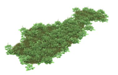 Field of grass isolated on white background. 3d rendering - illustration