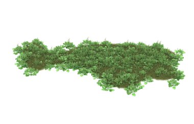 Field of grass isolated on white background. 3d rendering - illustration