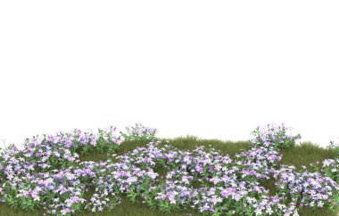 Field of grass isolated on white background. 3d rendering - illustration