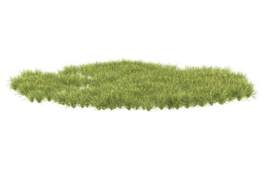 Field of grass isolated on white background. 3d rendering - illustration
