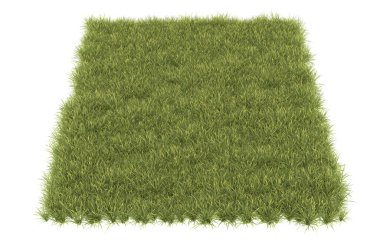 Field of grass isolated on white background. 3d rendering - illustration