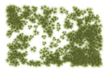 Field of grass isolated on white background. 3d rendering - illustration