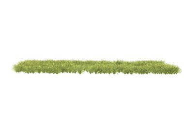 Field of grass isolated on white background. 3d rendering - illustration