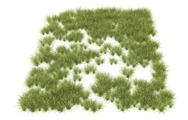 Field of grass isolated on white background. 3d rendering - illustration