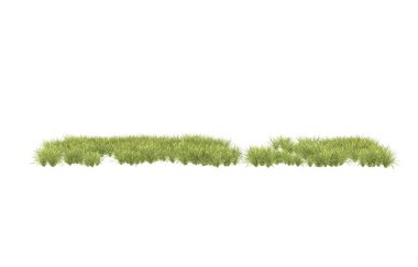 Field of grass isolated on white background. 3d rendering - illustration