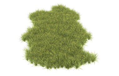 Field of grass isolated on white background. 3d rendering - illustration