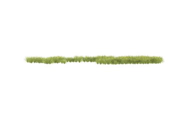 Field of grass isolated on white background. 3d rendering - illustration