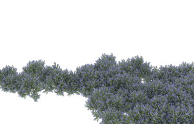 Field of grass isolated on white background. 3d rendering - illustration