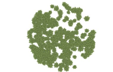 Field of grass isolated on white background. 3d rendering - illustration