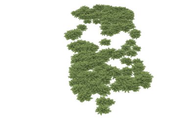 Field of grass isolated on white background. 3d rendering - illustration