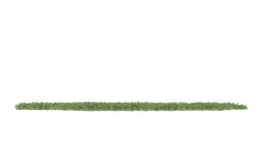 Field of grass isolated on white background. 3d rendering - illustration