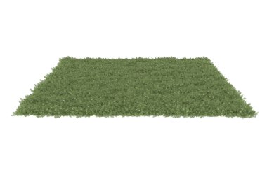 Field of grass isolated on white background. 3d rendering - illustration
