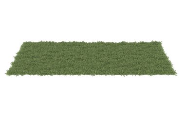 Field of grass isolated on white background. 3d rendering - illustration