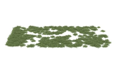 Field of grass isolated on white background. 3d rendering - illustration