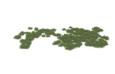 Field of grass isolated on white background. 3d rendering - illustration