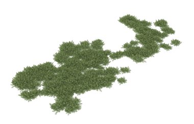 Field of grass isolated on white background. 3d rendering - illustration