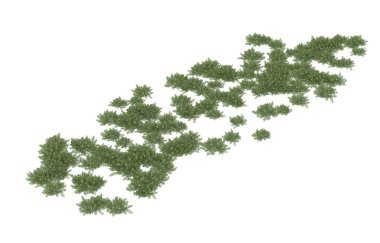 Field of grass isolated on white background. 3d rendering - illustration