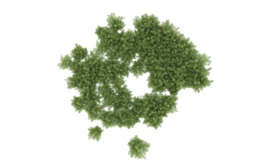 Field of grass isolated on white background. 3d rendering - illustration