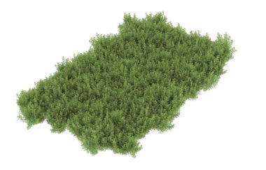 Field of grass isolated on white background. 3d rendering - illustration