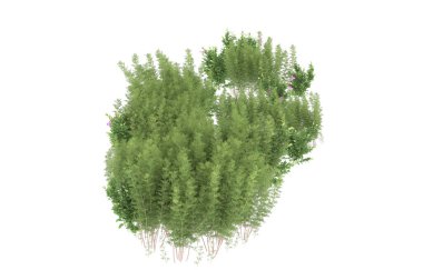 Field of grass isolated on white background. 3d rendering - illustration