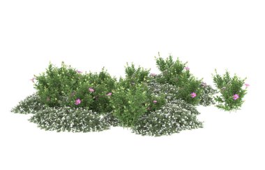 Field of grass isolated on white background. 3d rendering - illustration